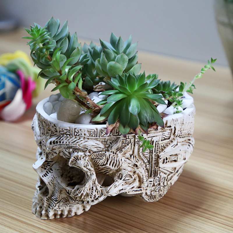 Ancient Skull Resin Plant Pot / Trinket Dish