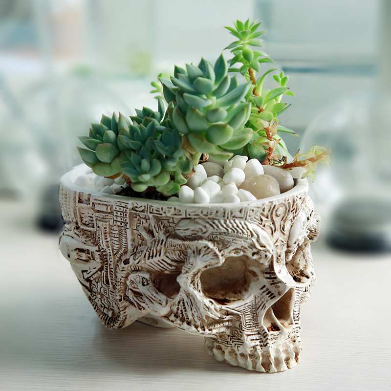 Ancient Skull Resin Plant Pot / Trinket Dish
