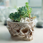Ancient Skull Resin Plant Pot / Trinket Dish