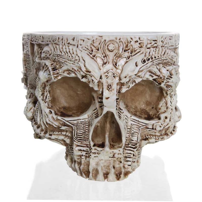 Ancient Skull Resin Plant Pot / Trinket Dish
