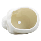 Matte Skull Storage Jar / Plant Pot
