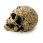 Omega Skull Resin Decoration