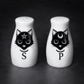 Black Cats Salt & Pepper Set