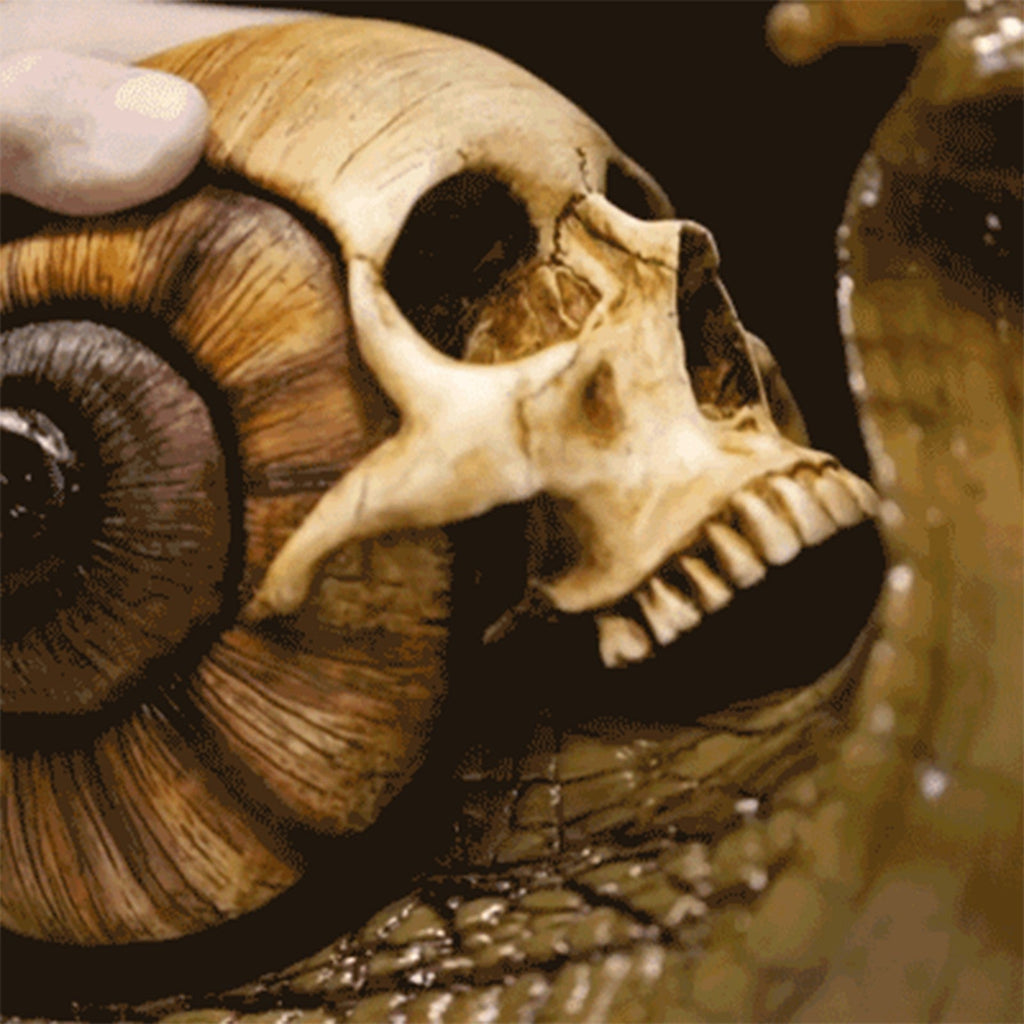 Snail with Skull Shell Resin Ornament