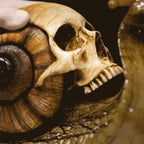 Snail with Skull Shell Resin Ornament