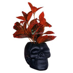 Matte Skull Storage Jar / Plant Pot