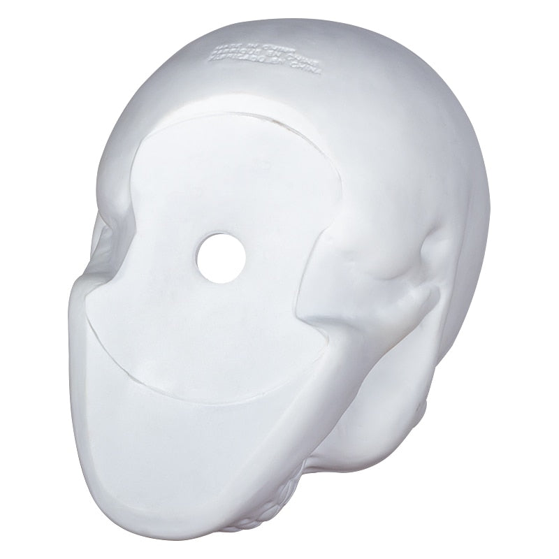 Matte Skull Storage Jar / Plant Pot