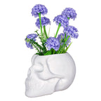 Matte Skull Storage Jar / Plant Pot