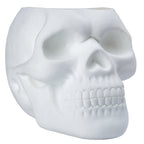 Matte Skull Storage Jar / Plant Pot