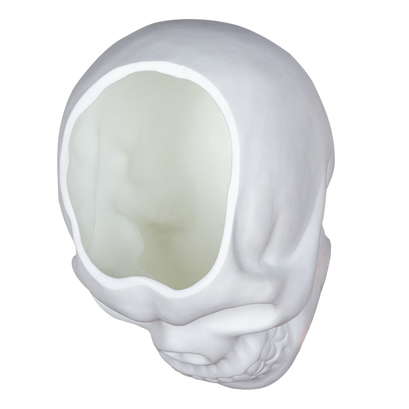 Matte Skull Storage Jar / Plant Pot